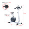 Sunny Health & Fitness Asuna Premium Upright Bike w/ Pulse Rate Monitoring