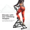 Sunny Health & Fitness Climber Stepper with Handlebar