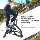 Sunny Health & Fitness Climber Stepper with Handlebar