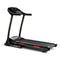 Sunny Health & Fitness Premium Folding Auto-Incline Smart Treadmill with Exclusive SunnyFit® App Enhanced Bluetooth Connectivity